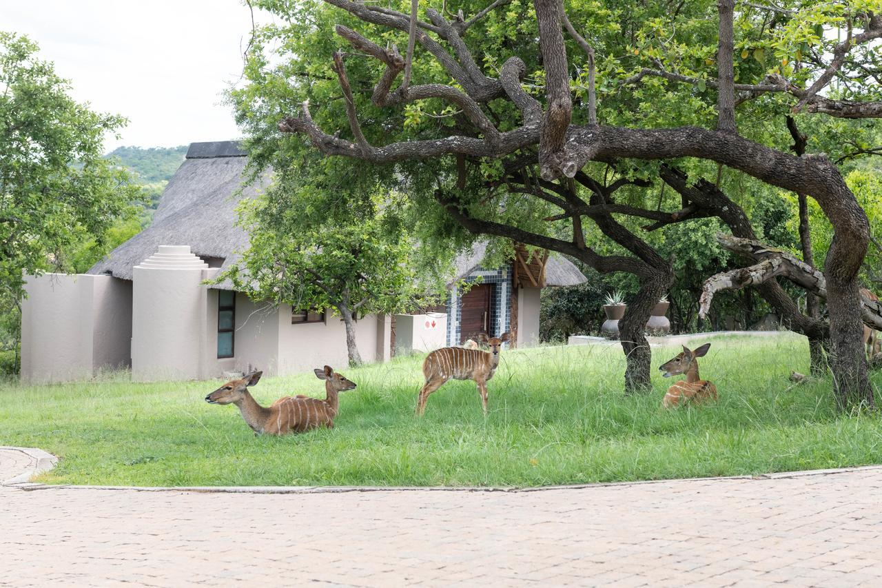 Muluwa Lodge Уайт Ривър Екстериор снимка